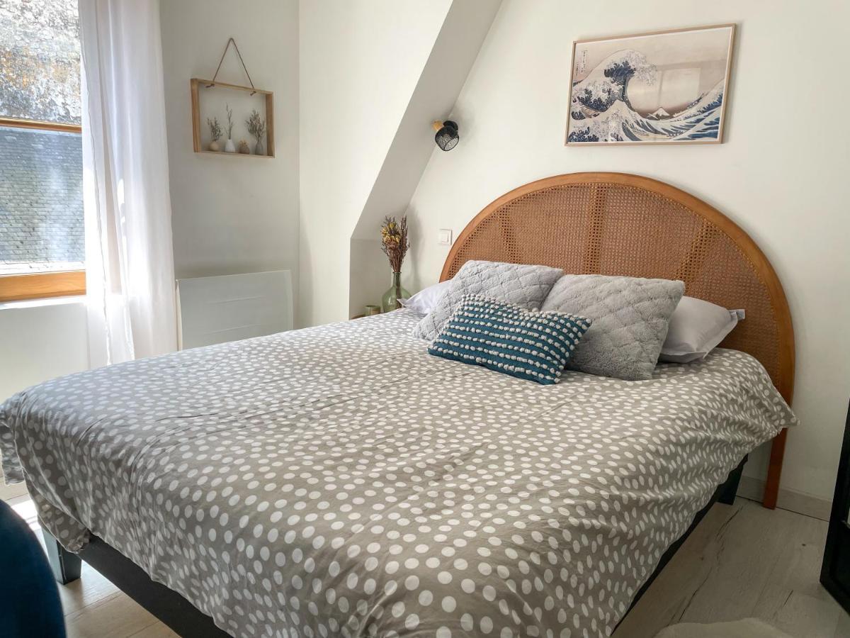 Magnifique Logement Au Pied Du Chateau Блоа Екстериор снимка