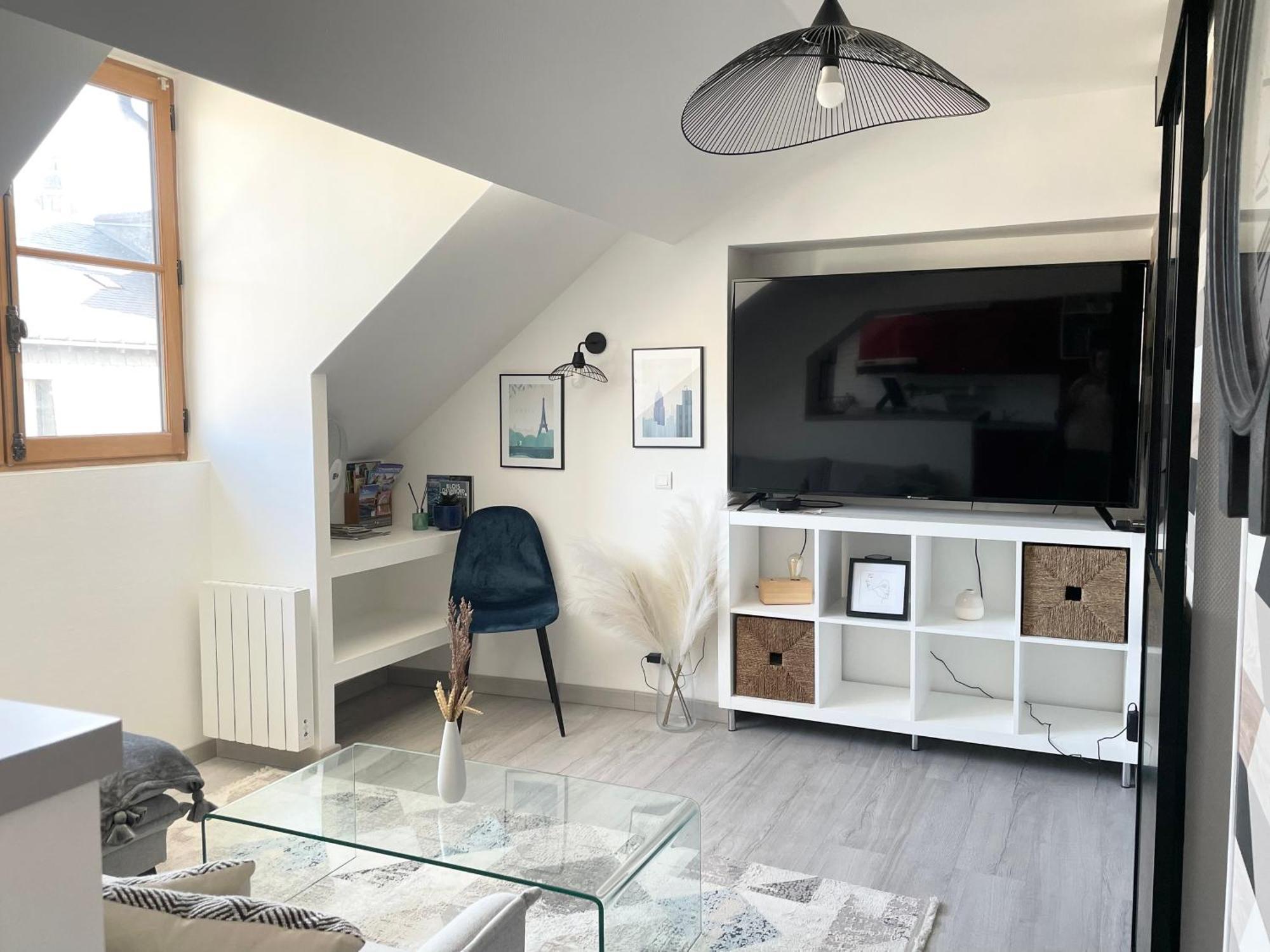 Magnifique Logement Au Pied Du Chateau Блоа Екстериор снимка