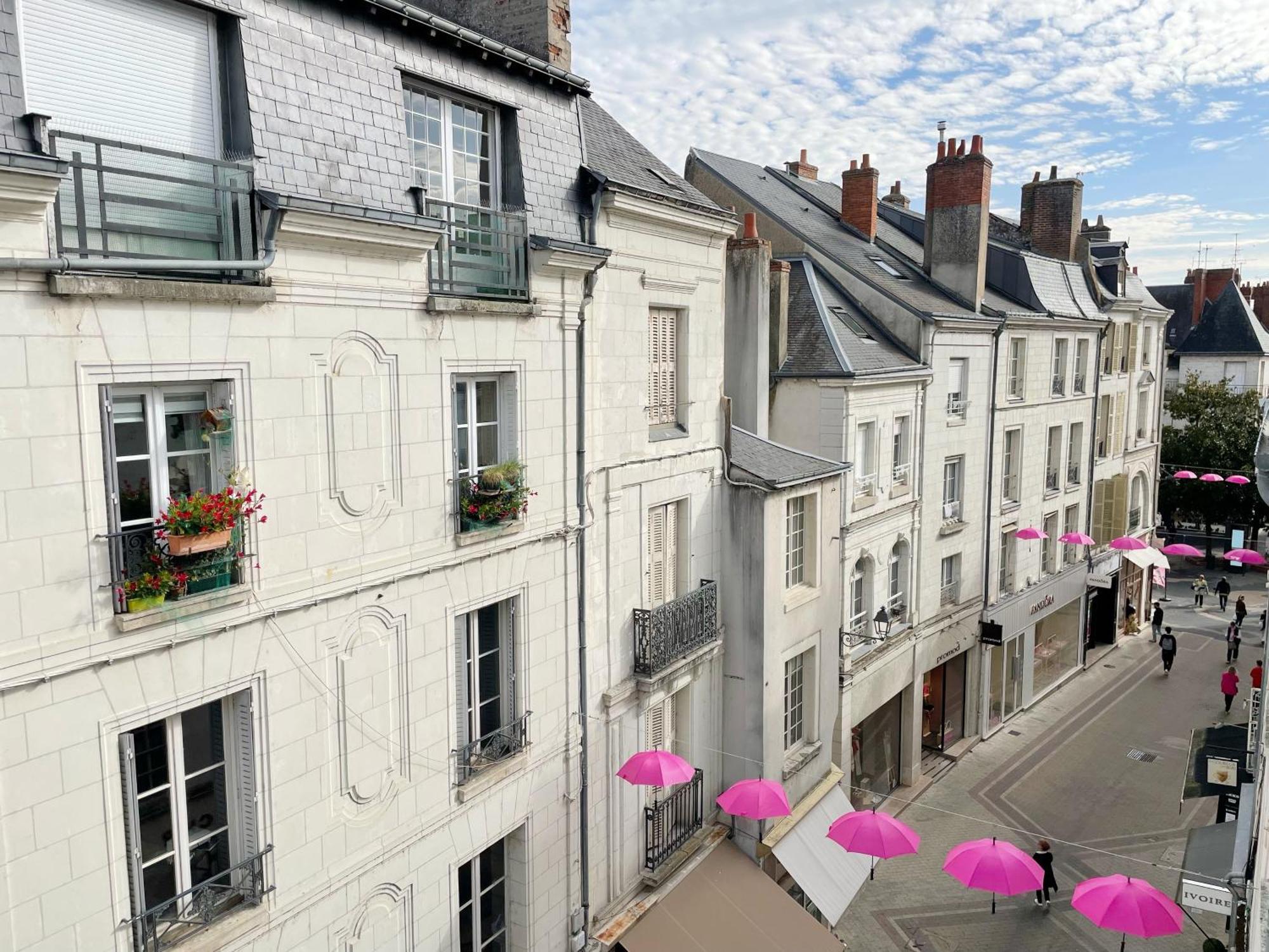 Magnifique Logement Au Pied Du Chateau Блоа Екстериор снимка